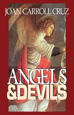 Angels and Devils book