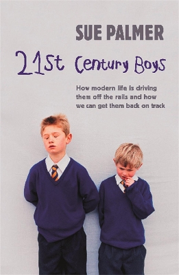 21st Century Boys book