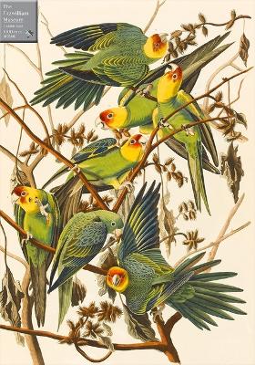 Carolina Parakeets 1000 Piece Jigsaw Puzzle: A Fitzwilliam Museum Publication book