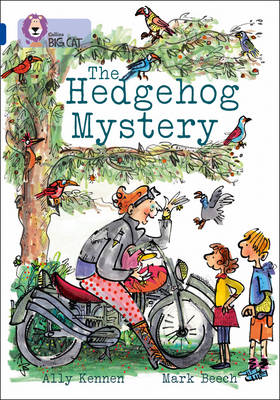 Hedgehog Mystery book