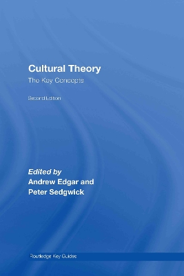 Cultural Theory book