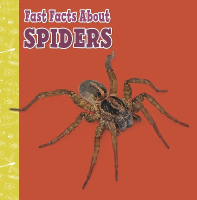 Fast Facts About Spiders by Julia Garstecki-Derkovitz