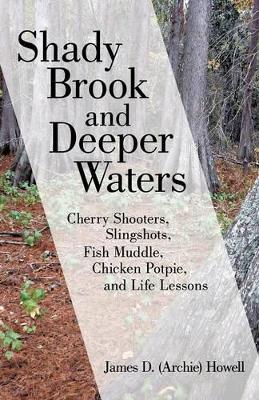 Shady Brook and Deeper Waters: Cherry Shooters, Slingshots, Fish Muddle, Chicken Potpie, and Life Lessons book