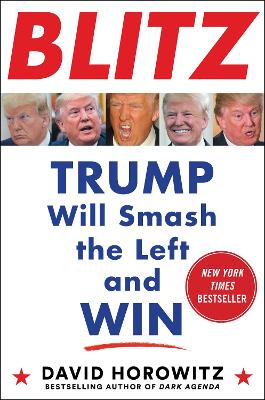 BLITZ: Trump Will Smash the Left and Win book