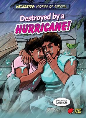 Destroyed by a Hurricane! book