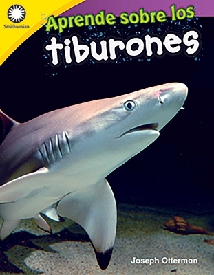 Aprende sobre los tiburones (Learning about Sharks) book