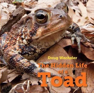 Hidden Life Of A Toad book