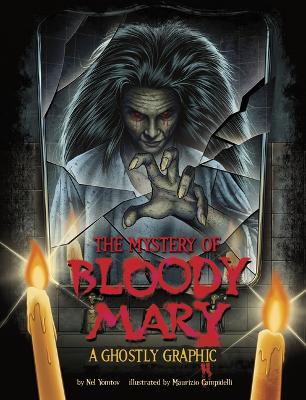 The Mystery of Bloody Mary book