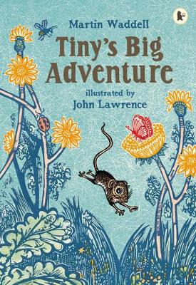 Tiny's Big Adventure book