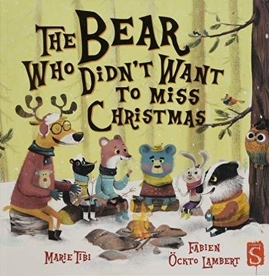 The Bear Who Didn't Want To Miss Christmas book