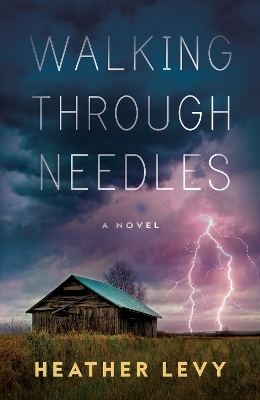 Walking Through Needles book