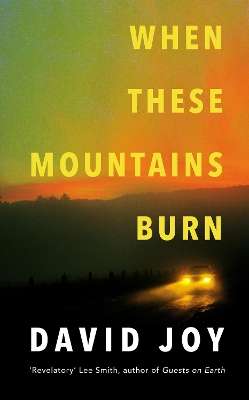 When These Mountains Burn book