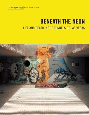 Beneath the Neon book