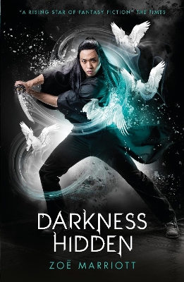 Name of the Blade, Book Two: Darkness Hidden book