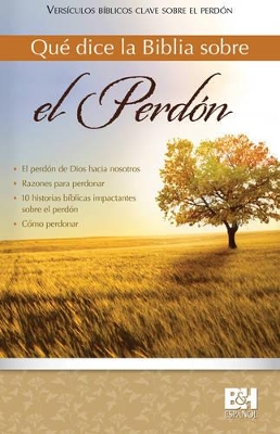Qué dice la Biblia sobre el perdón: Principales versículos bíblicos sobre el perdón book