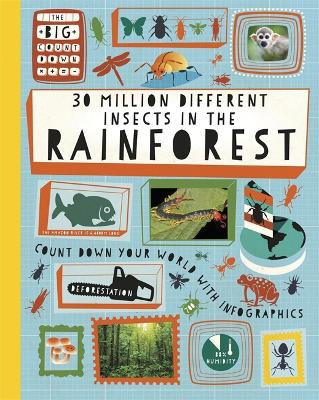 Big Countdown: 30 Million Different Insects in the Rainforest by Paul Rockett