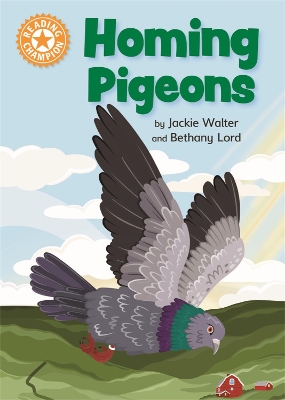 Reading Champion: Homing Pigeons: Independent Reading Orange 6 Non-fiction book