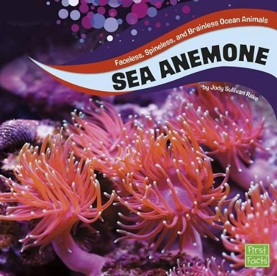 Sea Anemones by Jody S Rake