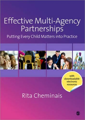 Effective Multi-Agency Partnerships book