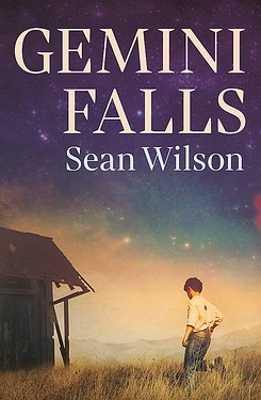 Gemini Falls book