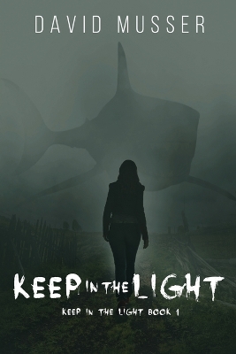 Keep In The Light by David Musser