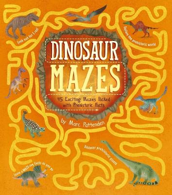 Dinosaur Mazes: 45 Exciting Mazes Packed with Prehistoric Facts book