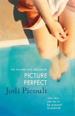 Picture Perfect by Jodi Picoult