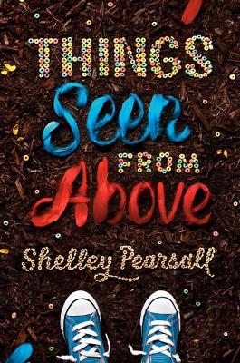 Things Seen from Above book
