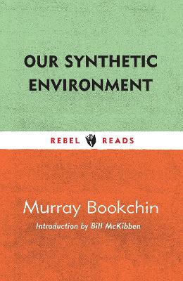 Our Synthetic Environment book