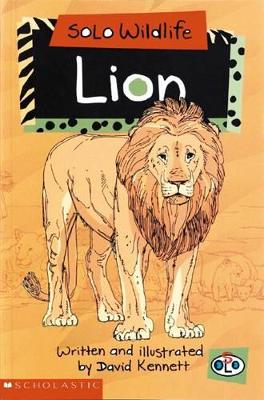 Solo Wildlife: Lion book