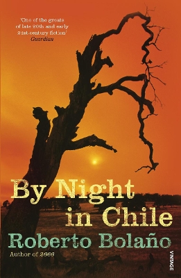 By Night In Chile book