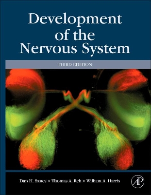 Development of the Nervous System by Dan H. Sanes