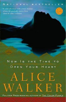Now Is the Time to Open Your Heart book