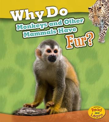 Why Do Monkeys and Other Mammals Have Fur? by Holly Beaumont