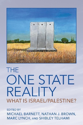 The One State Reality: What Is Israel/Palestine? book
