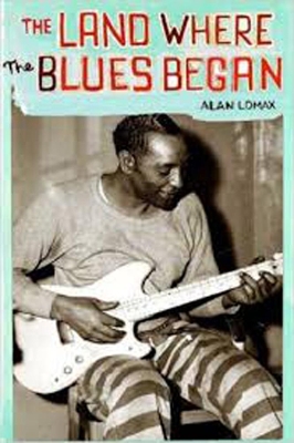 Land Where Blues Began book