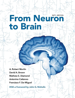 From Neuron to Brain book