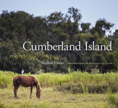 Cumberland Island: Footsteps in Time book