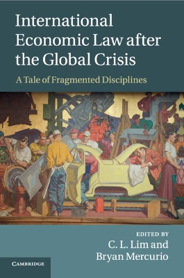 International Economic Law after the Global Crisis: A Tale of Fragmented Disciplines book