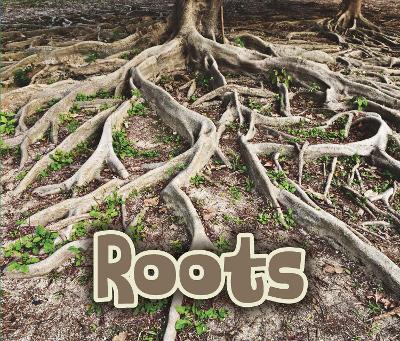 All About Roots book