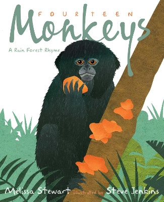 Fourteen Monkeys: A Rain Forest Rhyme book