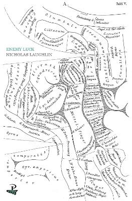 Enemy Luck book