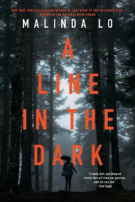 A A Line in the Dark by Malinda Lo