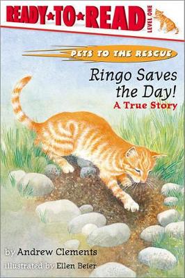 Ringo Saves the Day!: A True Story book