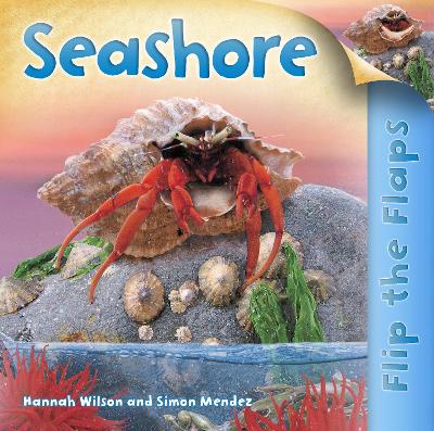 Flip the Flaps: Seashore book
