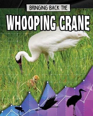 Bringing Back the Whooping Crane book