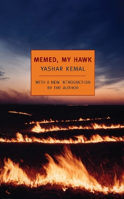 Memed, My Hawk book