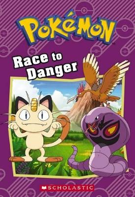 Race to Danger book