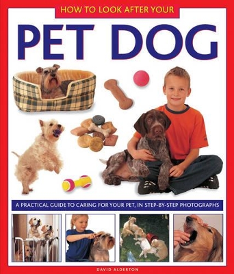 How to Look After Your Pet Dog book