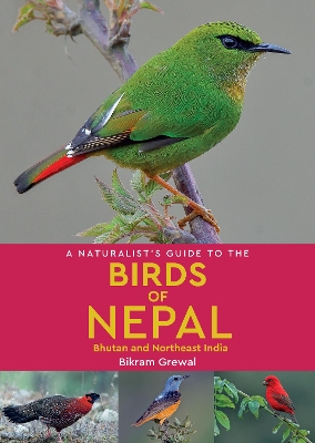 A Naturalist's Guide to the Birds of Nepal book